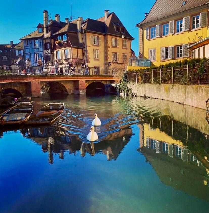 Maison 1708 - Rue Du Canard - City Center Colmar Eksteriør billede